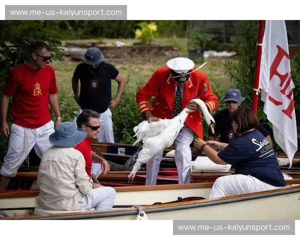 泰晤士河畔的白刃战:当富勒姆遇上西布罗姆,谁才是真正的升级专家?